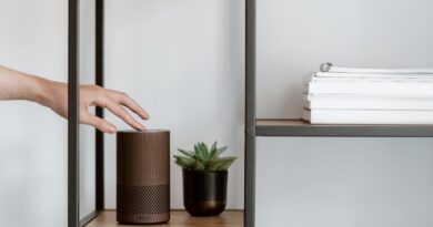 AI in smart homes